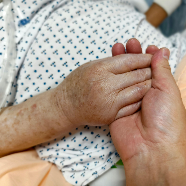 Acompanhamento domiciliar e hospitalar — cuidadores de idosos em Campinas